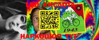 ПСИЛОЦИБИНОВЫЕ ГРИБЫ Можга