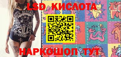 ПСИЛОЦИБИНОВЫЕ ГРИБЫ Можга